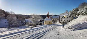 hotel ZLATÝ POTOK, Nicov